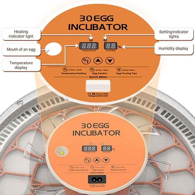 30 Eggs Incubator with Automatic Egg Turning with External Injection Water - Image 4