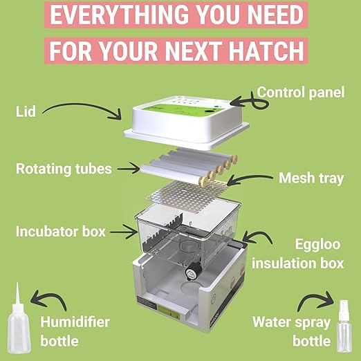 Incubators for Hatching Eggs - Image 4