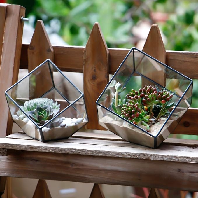 ELEGANTLIFE Glass Geometric Plant Terrarium Container, Flower Pot Tabletop - Image 6