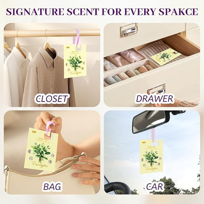 MR.A 13 Packs Eucalyptus Scented Sachets, Fragrance Sachet Bags - Image 7
