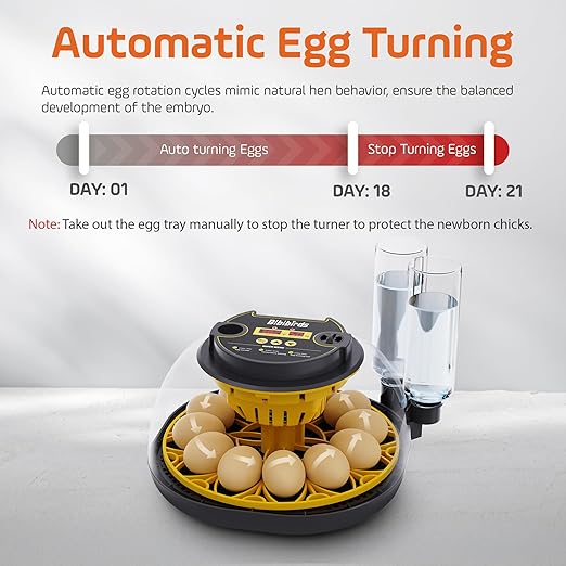 Incubators for Hatching Eggs - Image 2