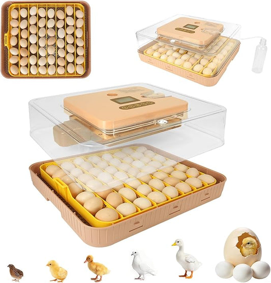 Automatic 56-Egg Incubator for Breeders, Sensor-Based Precise Humidity+Temp by ZEMIROCHARGE