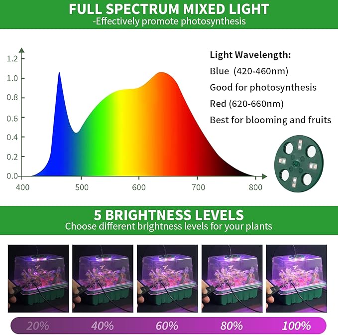 Seed Starter Tray with Plant Light, 2 Pack Grow Lights - Image 4