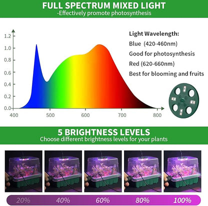 Seed Starter Tray with Plant Light, 2 Pack Grow Lights - Image 4