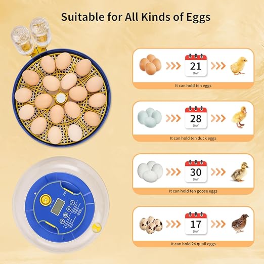 18 Egg Incubator with Auto Turn & Humidity Control, 360° View Poultry Hatcher - Image 3