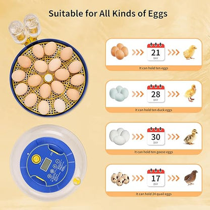 18 Egg Incubator with Auto Turn & Humidity Control, 360° View Poultry Hatcher - Image 3