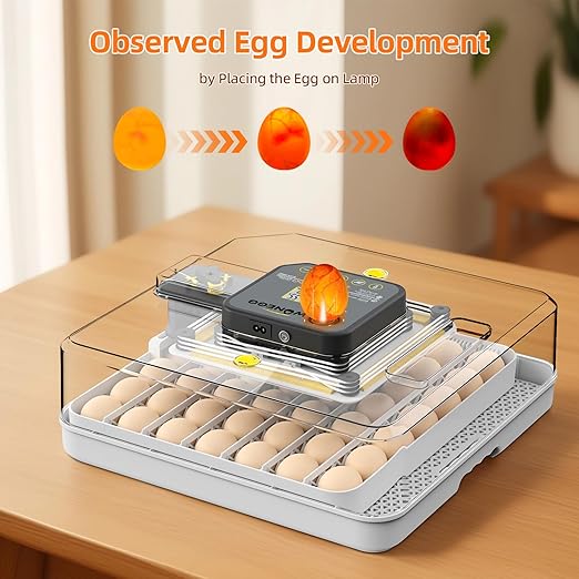Incubators for Hatching Eggs, 48 Egg Incubator - Image 3
