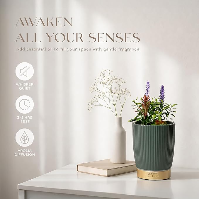 Earnest Living Essential Oil Diffuser Ceramic Artificial Succulent Plants - Image 5