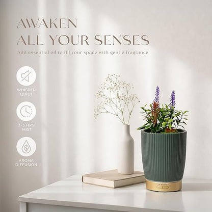 Earnest Living Essential Oil Diffuser Ceramic Artificial Succulent Plants - Image 5