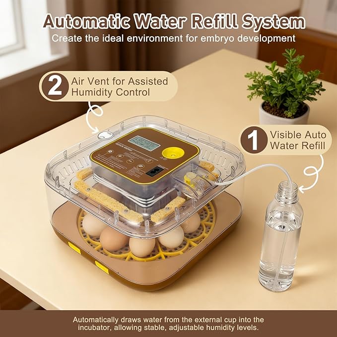 2026 New Auto 12-Egg Incubator for Beginners, Automated Incubation, - Image 5
