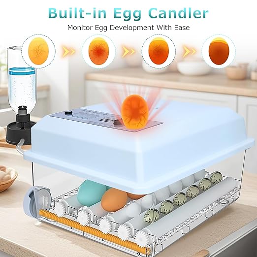 Incubators for Hatching Eggs 16 Egg Automatic Egg Incubator - Image 5