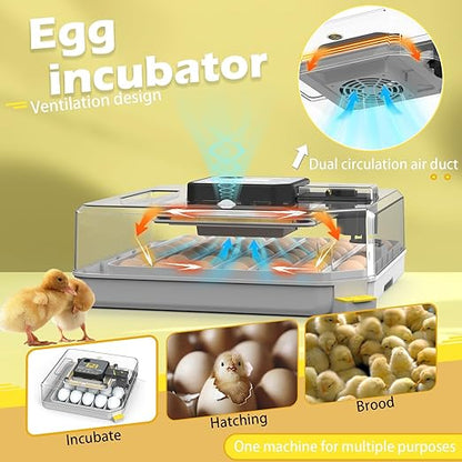 Incubators for Hatching Eggs 48 Egg Incubator - Image 2