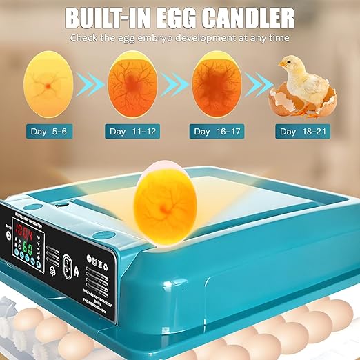 Incubators for Hatching Eggs, 36 Egg Incubator, Automatic Egg Turning, - Image 4