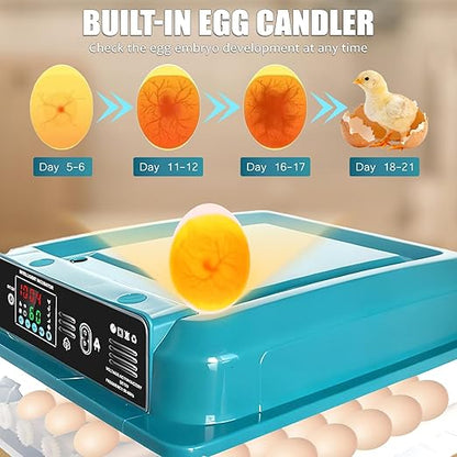 Incubators for Hatching Eggs, 36 Egg Incubator, Automatic Egg Turning, - Image 4