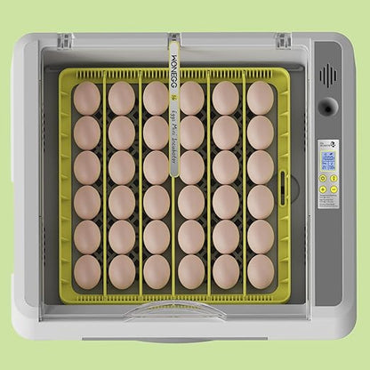 36 Eggs Incubator for Hatching Chicken/Goose/Quail/Duck/Turkey Eggs, 360° View - Image 8