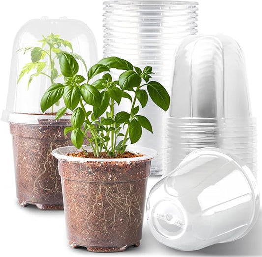 6 Inch Clear Nursery Pots with Humidity Dome, 15 Pack Durable Seed Starting Pot by RooTrimmer