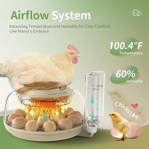 Large Capacity Egg Incubator for Hatching Eggs - Image 3