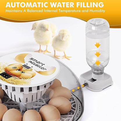 Egg incubators for Hatching Eggs, Automatic Egg Turning 12-24 Poultry Incubator - Image 4