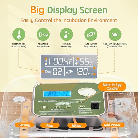 Incubator for Hatching Eggs Automatic Humidity and Temperature Control 12 Eggs - Image 3