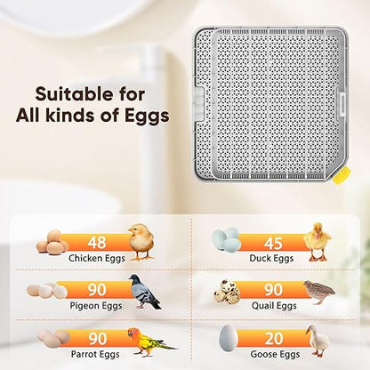 Incubators for Hatching Eggs, 48 Egg Incubator - Image 5