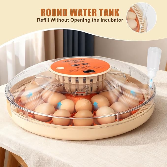 Smart Lite 30-Egg Incubator for Experienced Hands-On Hatchers, Auto Egg Turn - Image 6