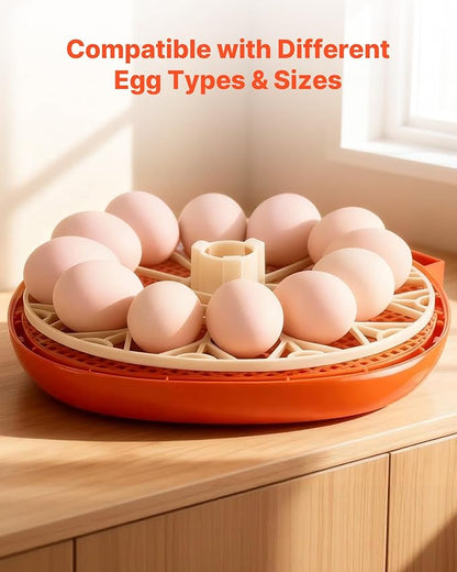 VEVOR 12 Egg Incubator, Automatic Egg Turner - Image 6