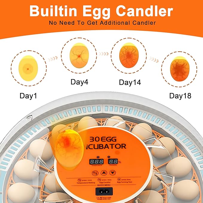 30 Egg Incubator with Automatic Egg Turning and Humidity Control, 360 Degree - Image 5