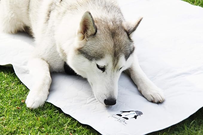 Washable Pee Pads for Dogs XXL, Reusable Puppy Training Pads, Ultra Absorbent & - Image 9