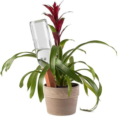 Modern Innovations Ceramic Terracotta Self Watering Spikes Vacation Automatic - Image 2