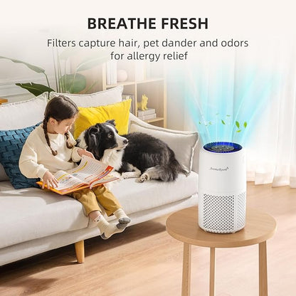 Air Purifier for Home Bedroom, AromaRoom H13 HEPA Air Filter For Smoke Pollen - Image 8