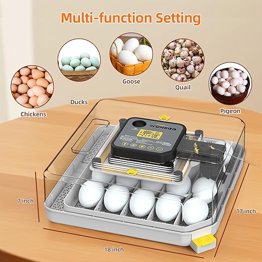 Incubators for Hatching Eggs, 48 Egg Incubator - Image 5