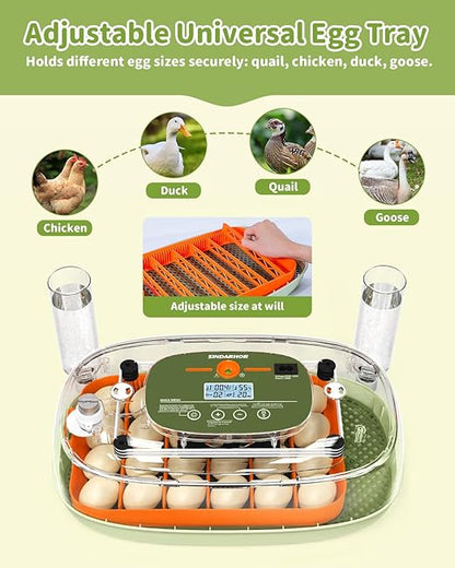 Egg Incubator for 24 Chicken Eggs - Image 7