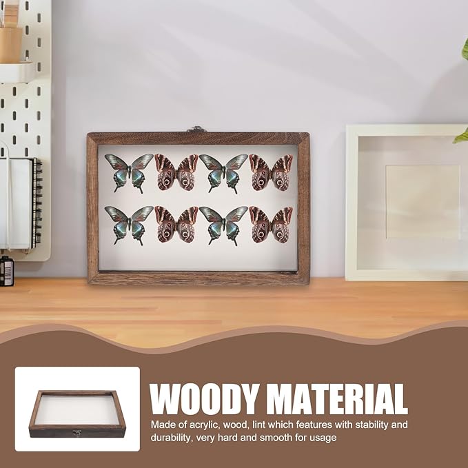 Angoily Wooden Insect Display Case Specimen Box - Image 4