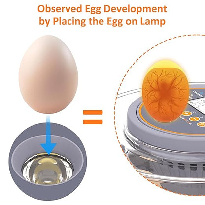 12 Egg Incubator with Automatic Egg Turning and Humidity Control, Intelligent - Image 5