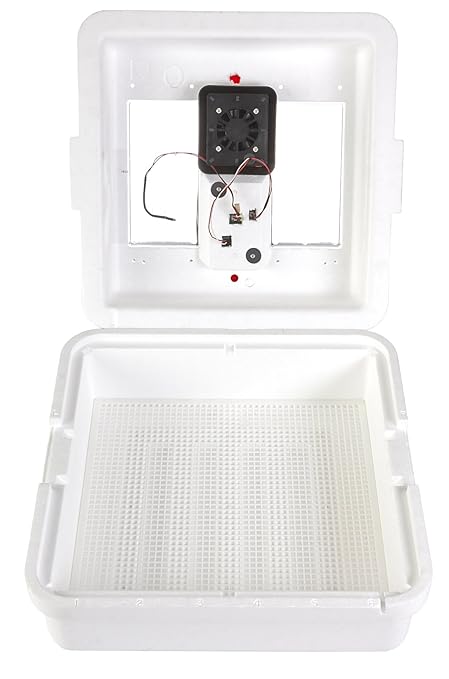 Little Giant® Digital Circulated Air Incubator | 41 Eggs | Egg Incubator by LittleGiant%C2%AE