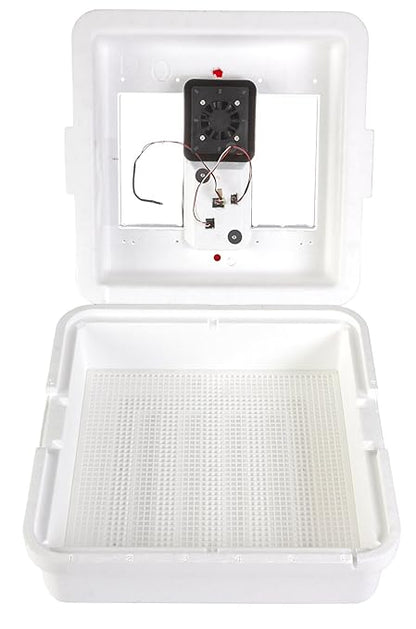 Little Giant® Digital Circulated Air Incubator | 41 Eggs | Egg Incubator by LittleGiant%C2%AE
