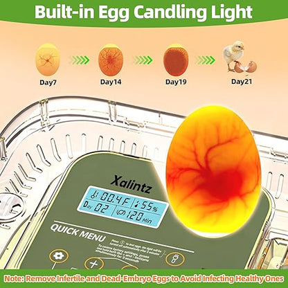 Automatic 12 Egg Incubator - Image 5