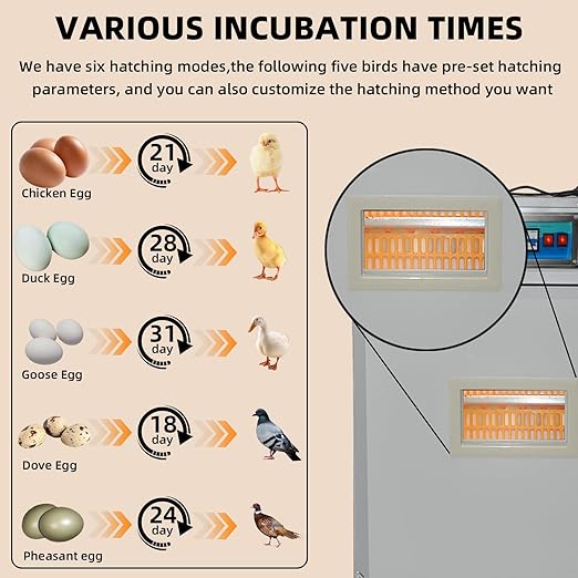XKV 352 Egg Incubator with Automatic Egg Turning, Temperature Control and - Image 8