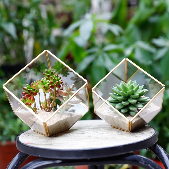 ELEGANTLIFE Glass Geometric Plant Terrarium, Succulent & Air Planter - Image 7