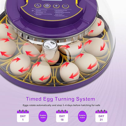 18 Egg Incubator for Hatching Eggs – - Image 3