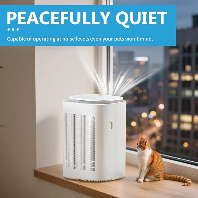 Dehumidifier and Air Purifier Combo HEPA H13 Filter and Negative Air Ion - Image 4