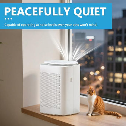 Dehumidifier and Air Purifier Combo HEPA H13 Filter and Negative Air Ion - Image 4