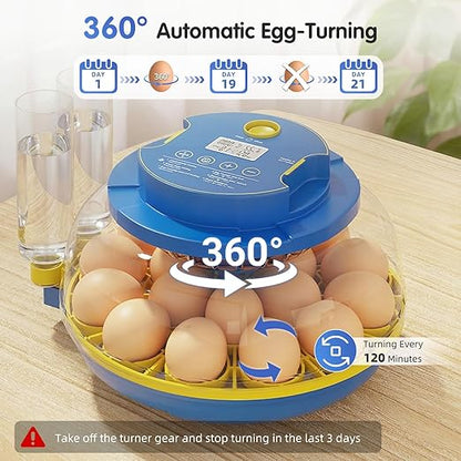 Chicken Egg Incubators for Hatching Eggs, 18 Egg Incubator - Image 4
