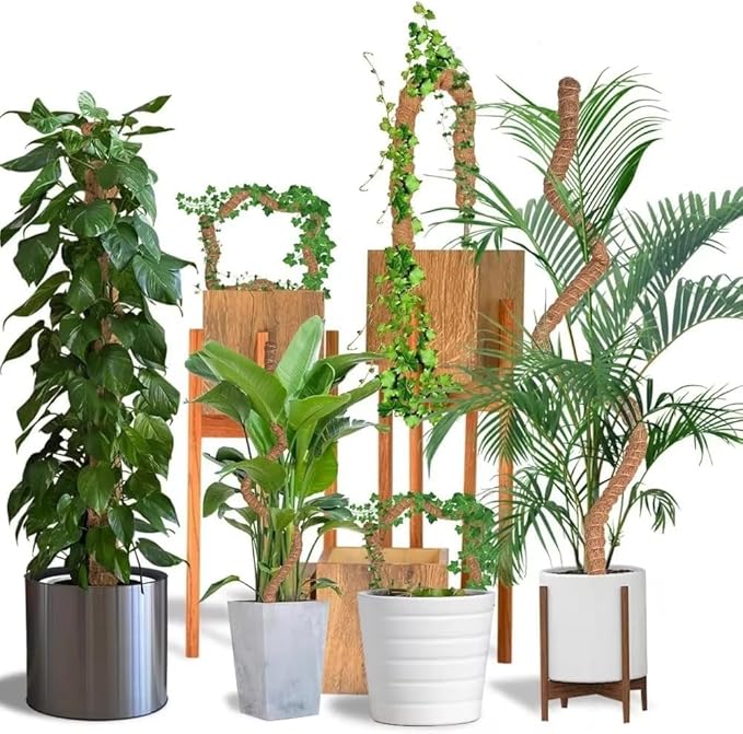 Moss Pole Monstera Plant Support – 48” Bendable Moss Pole Monstera Plant Support - Image 4