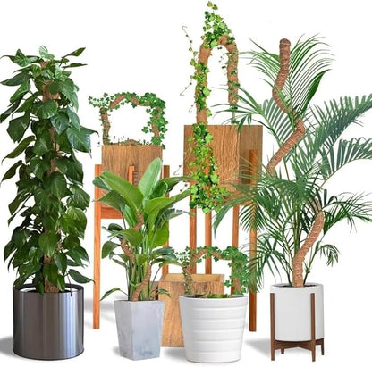 Moss Pole Monstera Plant Support – 48” Bendable Moss Pole Monstera Plant Support - Image 4