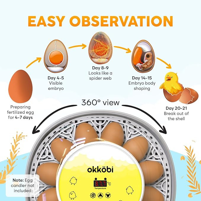 Okkobi M12 Egg Incubator with Automatic Turner and Humidity Control - Image 4