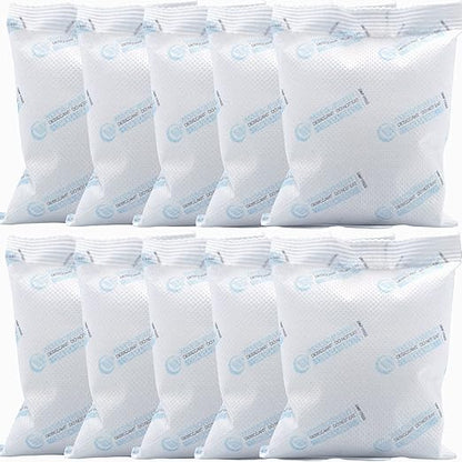 10Pcs 100 Gram Silica Gel Packets, Dessicant Packs by Wisesorb