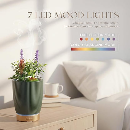 Earnest Living Essential Oil Diffuser Ceramic Artificial Succulent Plants - Image 4