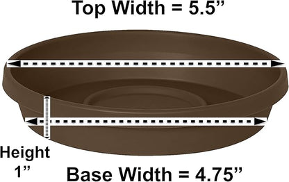 Bloem Terra Resin Saucer Tray: 4.75" Bottom Width - Image 2