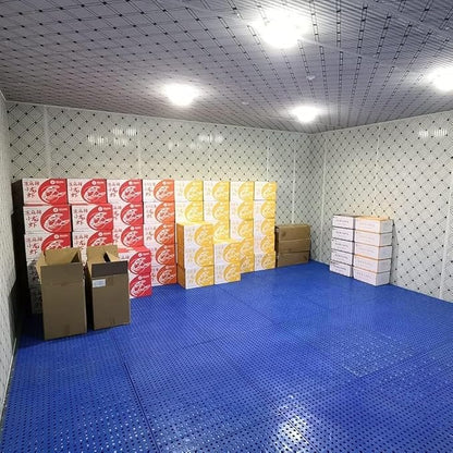 LNNW Plastic Pallet Warehouse Pallet Pet Moisture Barrier Cargo Storage Matting - Image 3